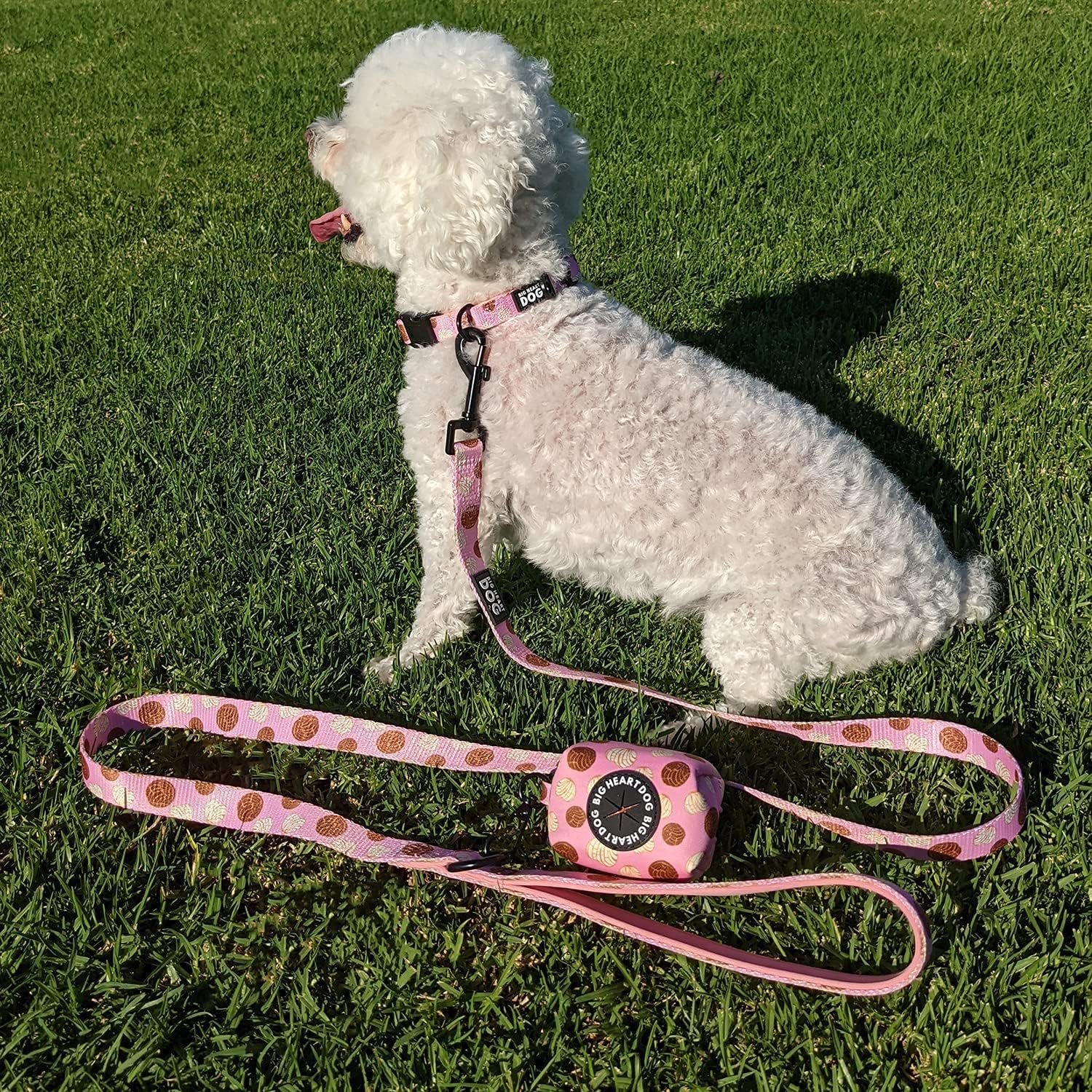 | Cute Dog Leash, Padded Dog Leash | Dog Leash with Comfort Handle | Cute Leash for Small Dogs | Correas Para Perros Medianos Con Diseño (Conchas, Medium)
