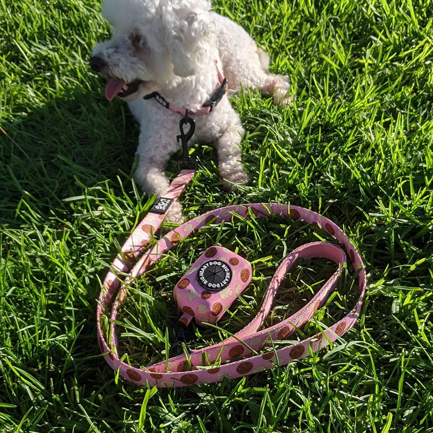 | Cute Dog Leash, Padded Dog Leash | Dog Leash with Comfort Handle | Cute Leash for Small Dogs | Correas Para Perros Medianos Con Diseño (Conchas, Medium)