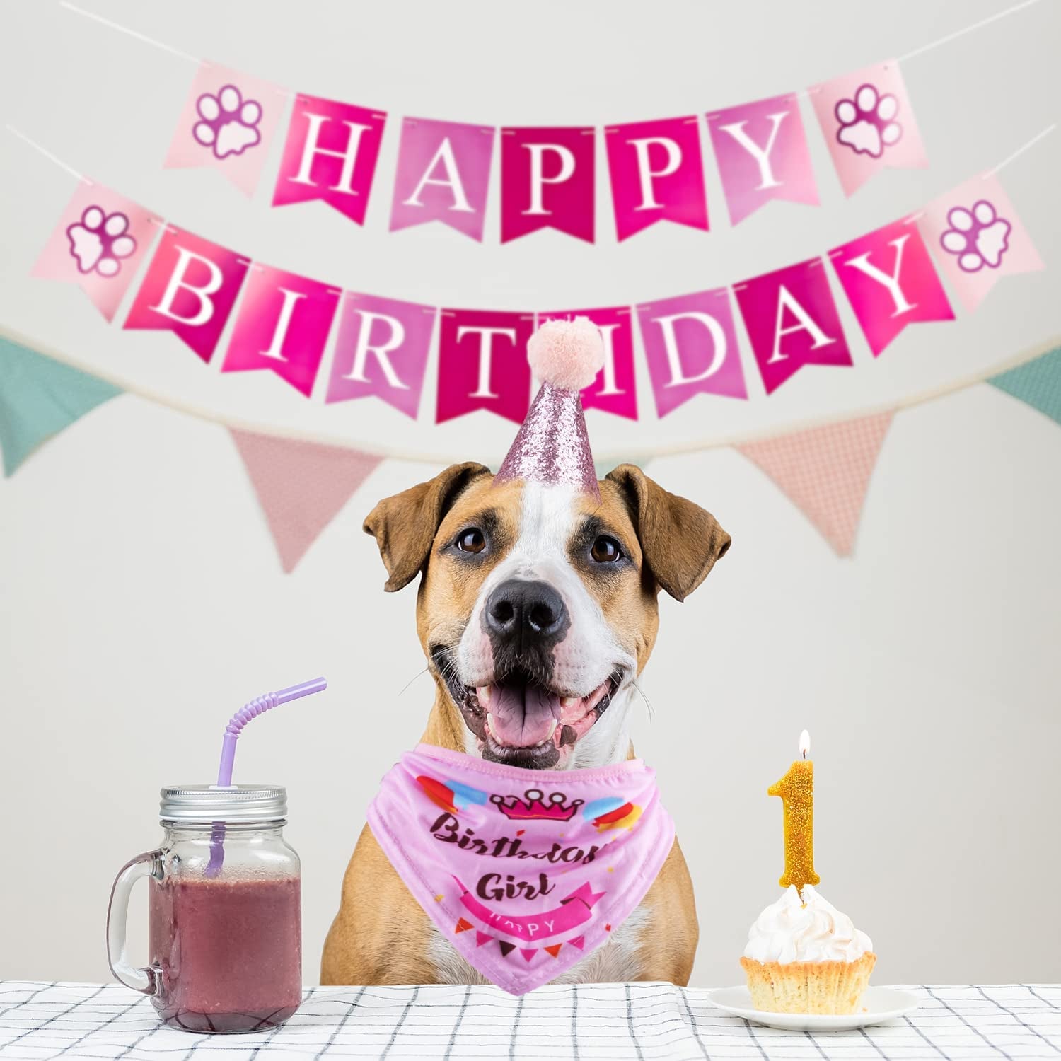 Dog Birthday Party Supplies Bandana Hat Banner Set Boy Girl Cute Bow Tie Scarf Birthday Decorations (Pink,Dog Girl)